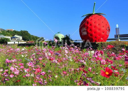 【長崎県】イチゴとメロンのフルーツバス停（井崎） 108839791