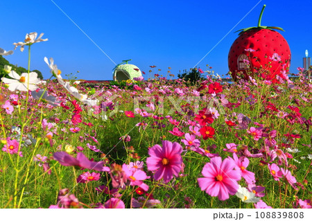 【長崎県】イチゴとメロンのフルーツバス停（井崎） 108839808