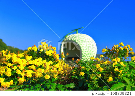 【長崎県】メロンのフルーツバス停（井崎） 108839821