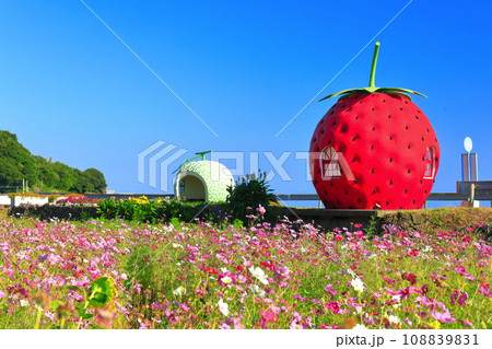【長崎県】イチゴとメロンのフルーツバス停（井崎） 108839831