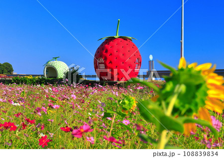 【長崎県】イチゴとメロンのフルーツバス停(井崎) 【長崎県】イチゴとメロンのフルーツバス停(井崎) 108839834