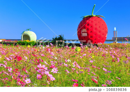 【長崎県】イチゴとメロンのフルーツバス停（井崎） 108839836