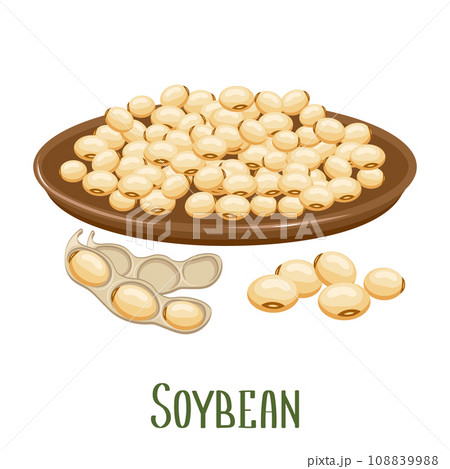 Set of soybeans. Soybean plant, soybeans in pods, in a bowl. Food, agriculture. Illustration, vector 108839988