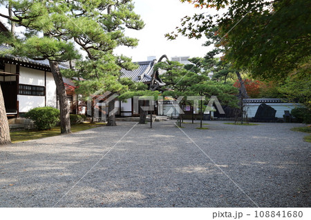 京都市上京区にある紫式部邸宅跡と言われる蘆山寺境内の風景 108841680