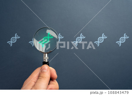 Genome research. Paternity confirmation. Science and medicine health care. Determining the dna gene. Probability and predisposition to diseases. Gene therapy modification of cells technology. 108843479