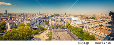 Aerial view of Paris from Notre Dam 108843730