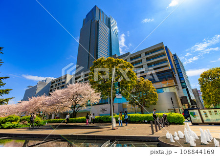 東京 港区 赤坂 東京ミッドタウンと満開の桜 東京 港区 赤坂 東京ミッドタウンと満開の桜 108844169