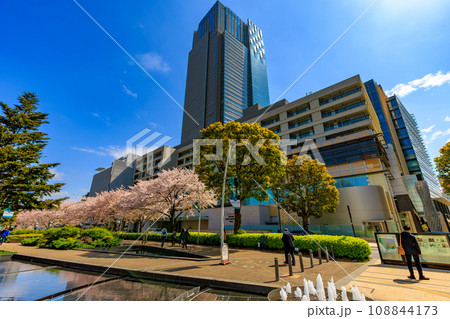 東京 港区 赤坂 東京ミッドタウンと満開の桜 東京 港区 赤坂 東京ミッドタウンと満開の桜 108844173