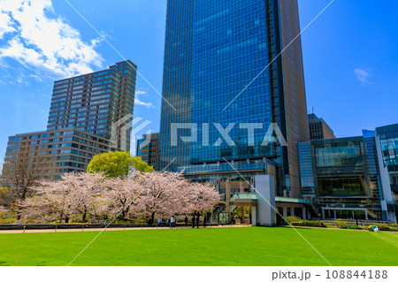 東京 港区 赤坂 東京ミッドタウンと満開の桜 東京 港区 赤坂 東京ミッドタウンと満開の桜 108844188