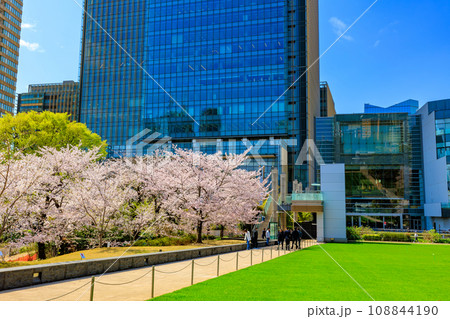東京 港区 赤坂 東京ミッドタウンと満開の桜 東京 港区 赤坂 東京ミッドタウンと満開の桜 108844190