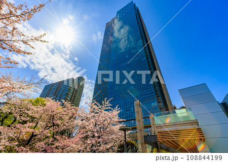 東京 港区 赤坂 東京ミッドタウンと満開の桜 東京 港区 赤坂 東京ミッドタウンと満開の桜 108844199