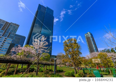 東京　港区 赤坂　東京ミッドタウンと満開の桜 108844231