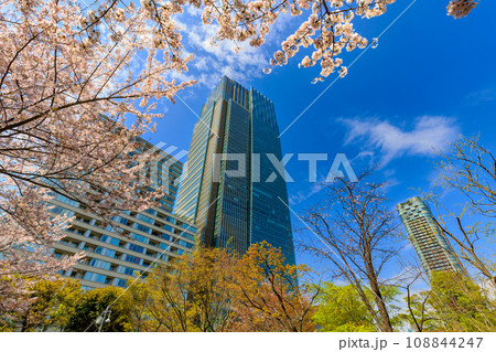 東京　港区 赤坂　東京ミッドタウンと満開の桜 108844247