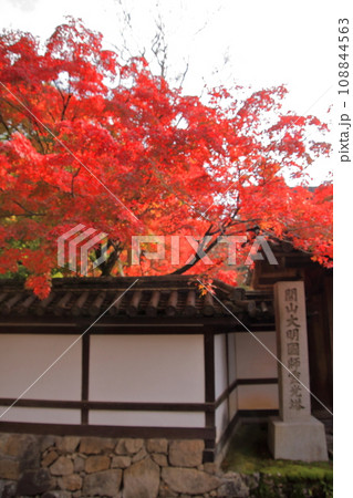 京都の紅葉 南禅寺 三門 天授庵 水路閣 京都の紅葉 南禅寺 三門 天授庵 水路閣 108844563