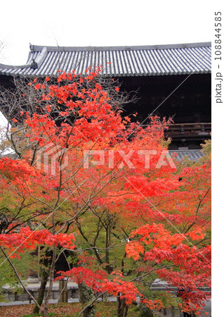 京都の紅葉 南禅寺 三門 天授庵 水路閣 京都の紅葉 南禅寺 三門 天授庵 水路閣 108844585