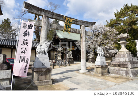 北野天満宮　東の鳥居　京都市上京区 108845130