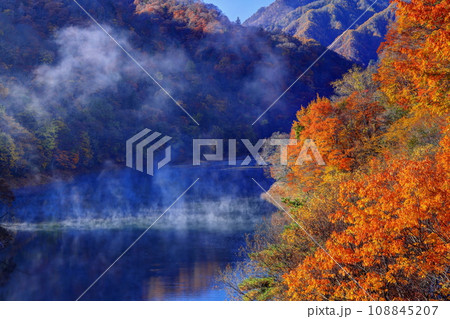 川俣湖の秋 108845207