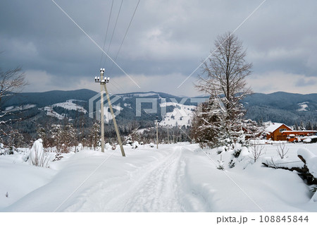 Moody landscape with footpath tracks and pine trees covered with fresh fallen snow in winter mountain forest on cold gloomy evening. 108845844