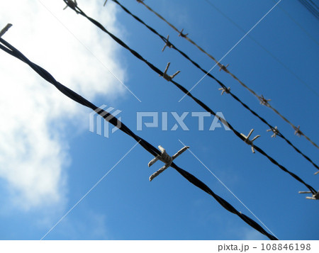 Barb Wire and blue sky with a cloud 108846198