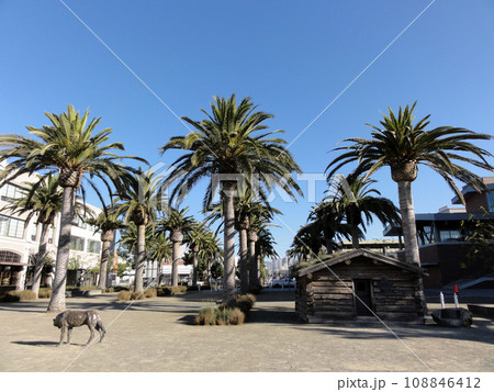 Jack London Log Cabin and Wolf 108846412