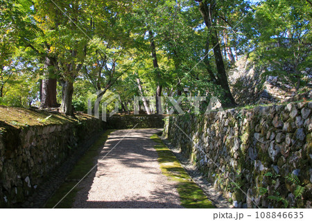 丹波亀山城跡 丹波亀山城跡 108846635