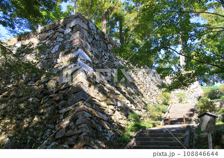 丹波亀山城跡 丹波亀山城跡 108846644