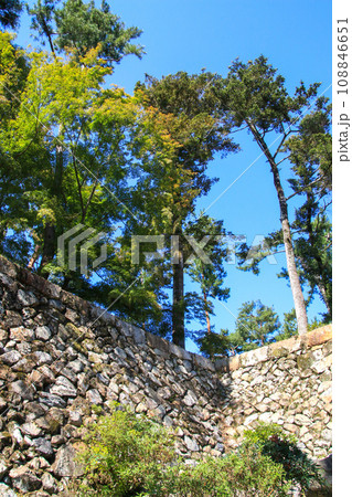 丹波亀山城跡 丹波亀山城跡 108846651