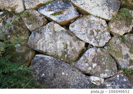 丹波亀山城跡 丹波亀山城跡 108846652