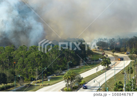 Fire department firetrucks extinguishing wildfire burning severely in Florida jungle woods. Emergency service vehicles trying to put down flames in forest 108846767