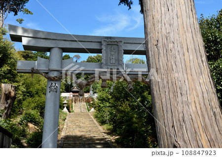 走田神社(鳥居) 【京都府長岡京市奥海印寺走田】 走田神社(鳥居) 【京都府長岡京市奥海印寺走田】 108847923