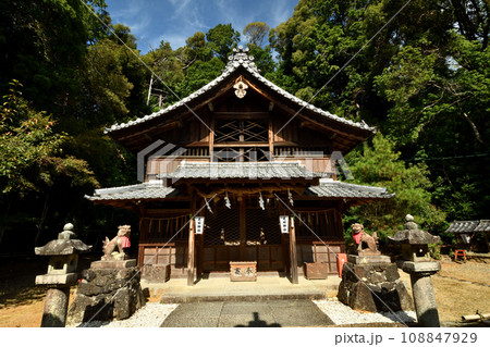 走田神社(本殿)　【京都府長岡京市奥海印寺走田】 108847929