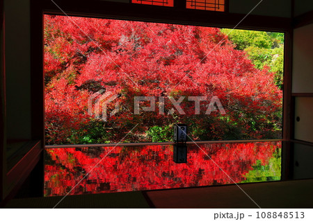 【兵庫県】紅葉の「ゆかドウダン」但馬安国寺 108848513