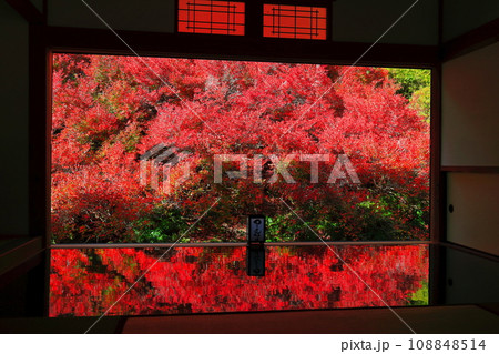 【兵庫県】紅葉の「ゆかドウダン」但馬安国寺 108848514