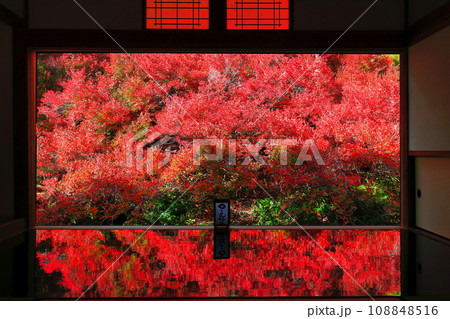 【兵庫県】紅葉の「ゆかドウダン」但馬安国寺 108848516