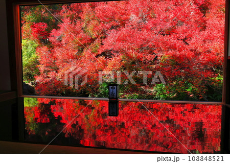 【兵庫県】紅葉の「ゆかドウダン」但馬安国寺 108848521