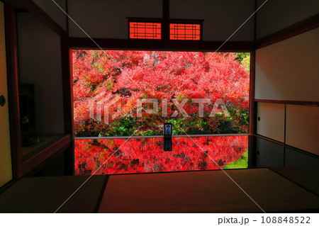 【兵庫県】紅葉の「ゆかドウダン」但馬安国寺 108848522