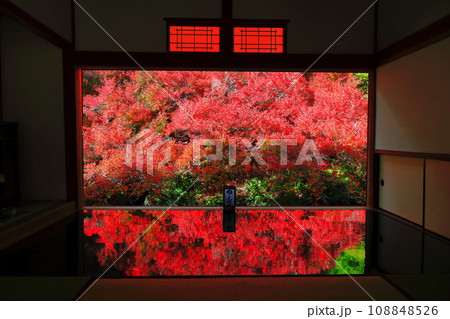 【兵庫県】紅葉の「ゆかドウダン」但馬安国寺 【兵庫県】紅葉の「ゆかドウダン」但馬安国寺 108848526