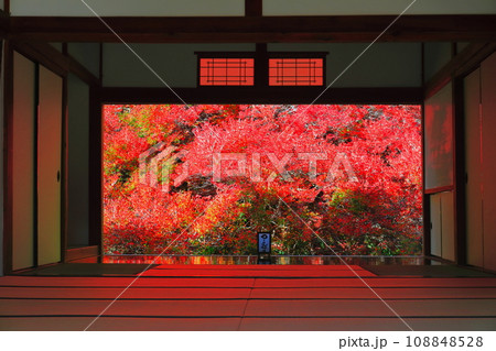 【兵庫県】紅葉の「ゆかドウダン」但馬安国寺 【兵庫県】紅葉の「ゆかドウダン」但馬安国寺 108848528