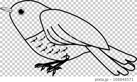 かわいいホトトギスの線画イラスト 108848571