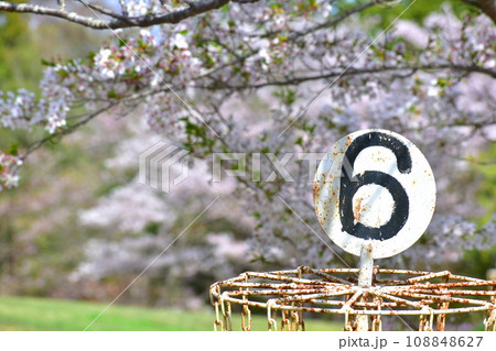 岡山　桜　春　たけべの森公園 108848627