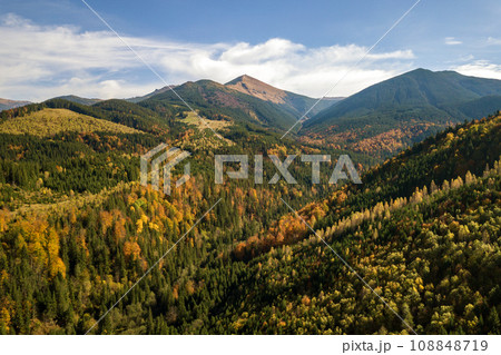 Aerial view of autumn mountain landscape with evergreen pine trees and yellow fall forest with magestic mountains in distance. 108848719