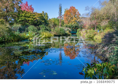 紅葉を映す睡蓮の池 紅葉を映す睡蓮の池 108849075