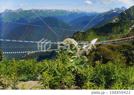 rope suspension bridge in caucasus mountains, Russia, Rosa Khutor resort 108850422