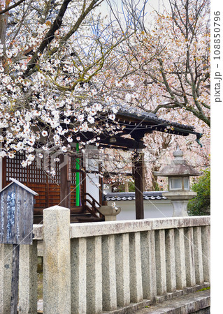 本満寺の妙見宮（京都市上京区） 108850796