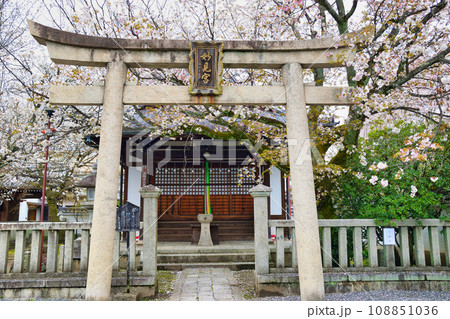 本満寺の妙見宮(京都市上京区) 本満寺の妙見宮(京都市上京区) 108851036