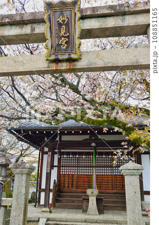 本満寺の妙見宮（京都市上京区） 108851165