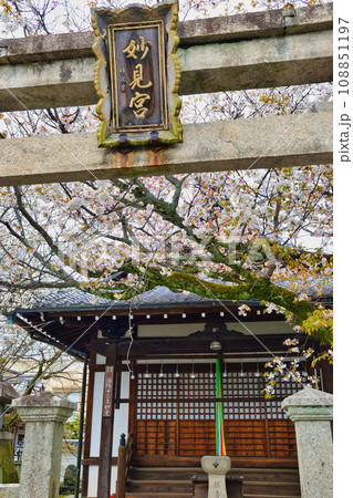 本満寺の妙見宮（京都市上京区） 108851197
