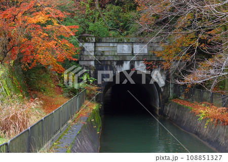 琵琶湖疎水の紅葉(琵琶湖疏水第2トンネル) 琵琶湖疎水の紅葉(琵琶湖疏水第2トンネル) 108851327