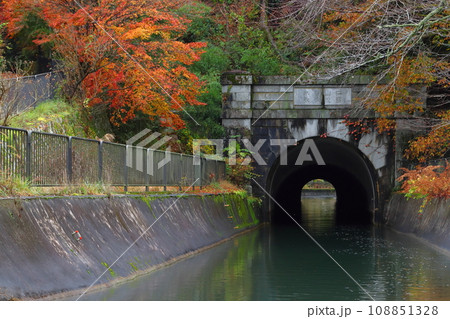 琵琶湖疎水の紅葉(琵琶湖疏水第2トンネル) 琵琶湖疎水の紅葉(琵琶湖疏水第2トンネル) 108851328