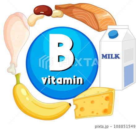 Educational Group of Foods Containing Vitamin B Educational Group of Foods Containing Vitamin B 108851549